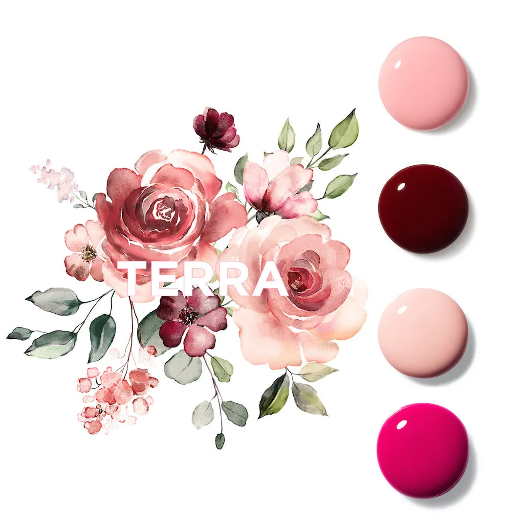 Colors of Roses Set (5 Piece)