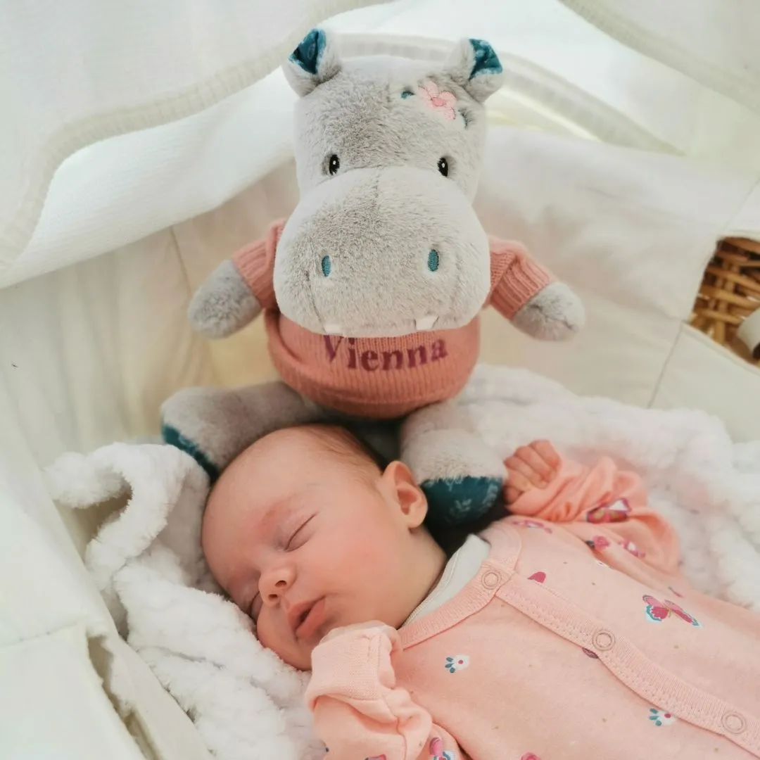 Personalised Jewel Hippo Soft Toy – 10″