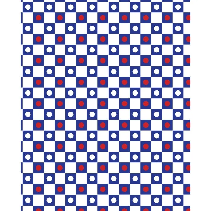 White Checkerboard Polka Dots Printed Backdrop